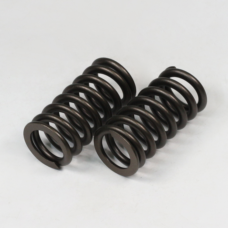 ISG Engine Valve Spring 3696142