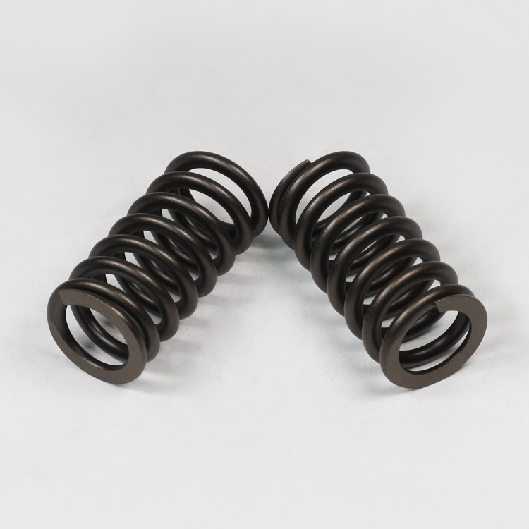 ISG Engine Valve Spring 3696142