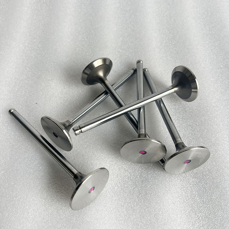 ISG Engine Exhaust Valve 5582315