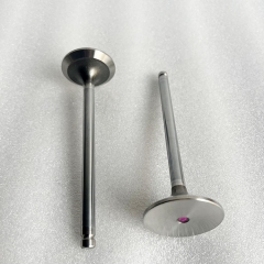 ISG Engine Exhaust Valve 5582315