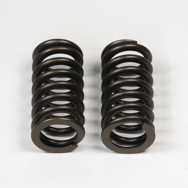 ISG Engine Valve Spring 3696142