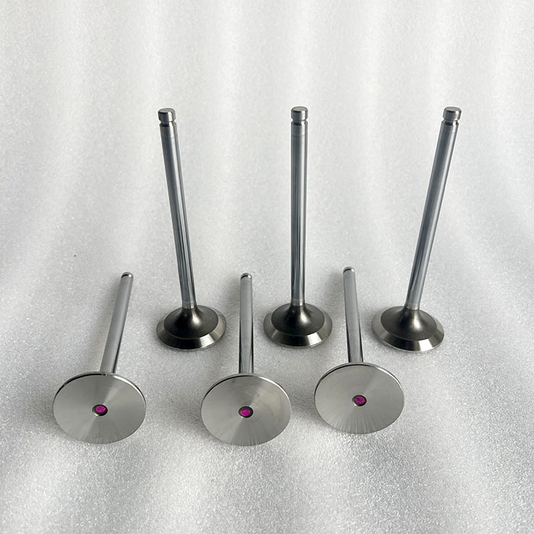 ISG Engine Exhaust Valve 5582315