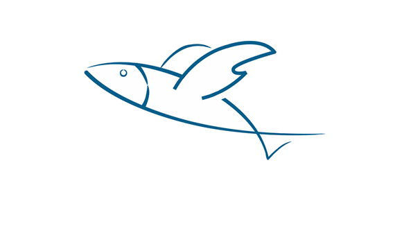 Shiyan Flyingfish Power Co., Ltd.