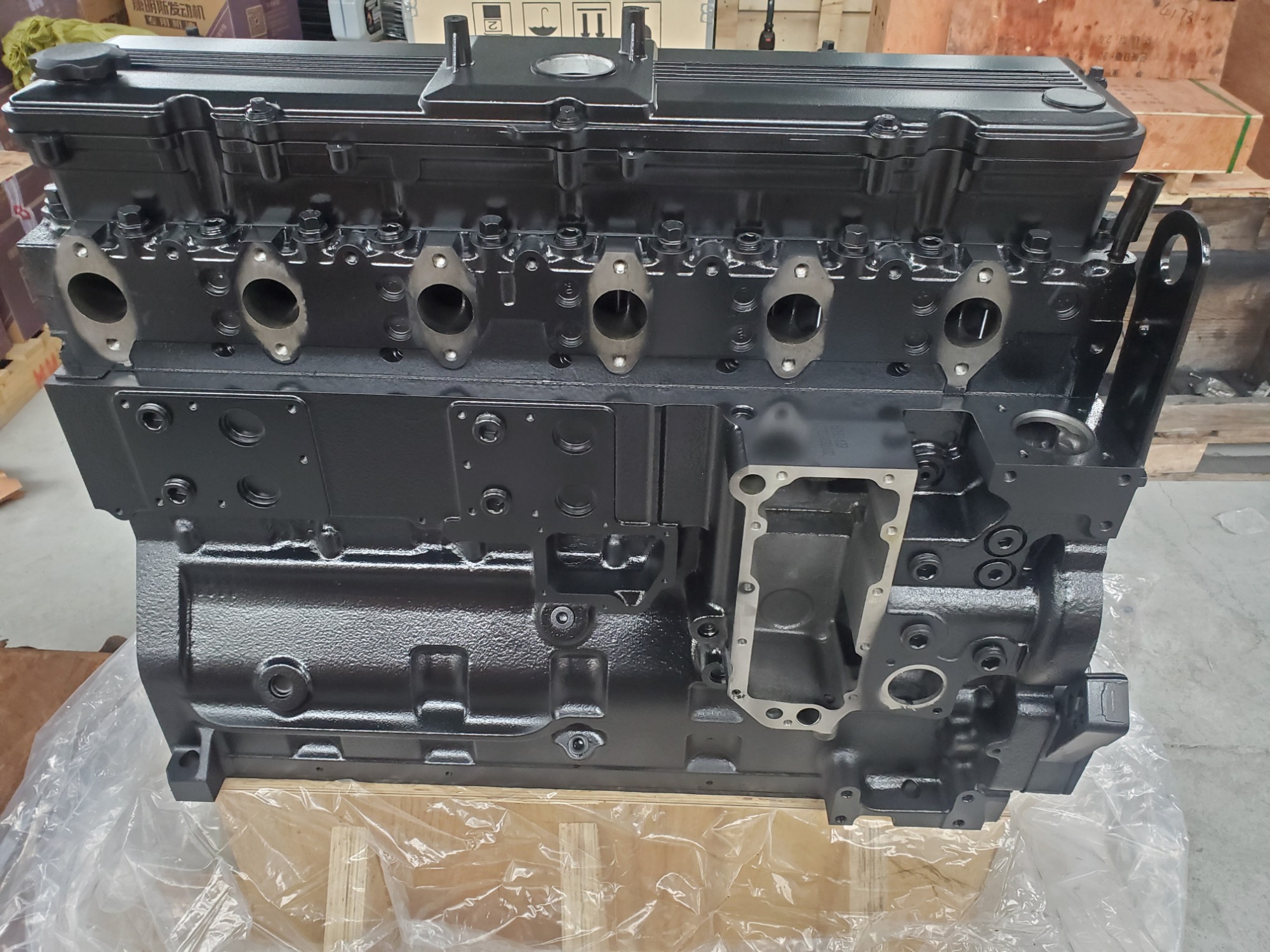 Cummins QSL9 Engine Long Block