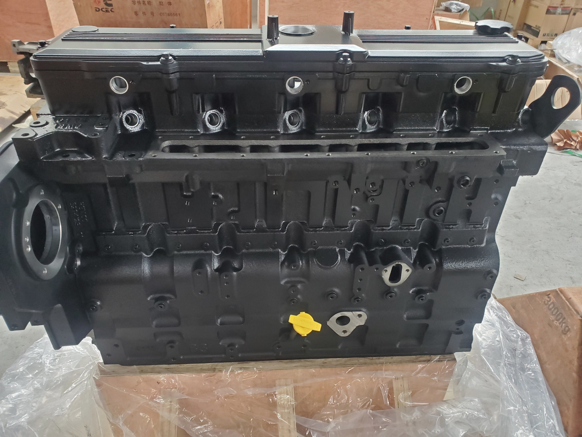 Cummins QSL9 Engine Long Block