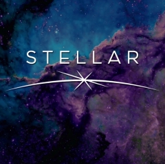 STELLAR by ALCHEMY INSIDERS