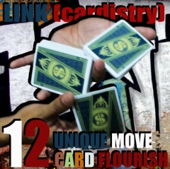 LINK (cardistry project) by SaysevenT