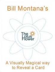 Bill Montana - The Lotus Flower