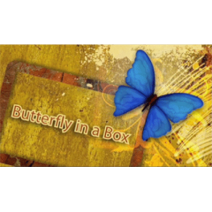 Butterfly In a Box by Mark Presley