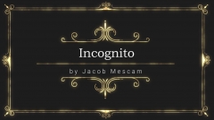 Incognito by Jacob Mescam