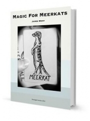 Magic For Meerkats By James Went