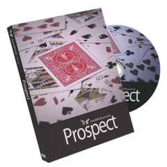 SansMinds - Prospect