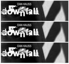 Dan Hauss - Downfall
