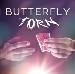 Butterfly Torn By Yvan Garmy