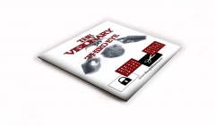 VISIONARY 3.0 BY STEPHEN E YOUNG