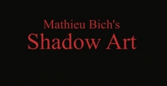 Mathieu Bich Shadow Art