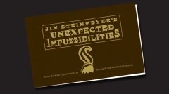 Unexpected Impuzzibilities by Jim Steinmeyer