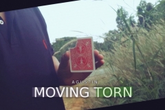 Moving Torn by Agustin