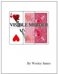 Visible Merger by Wesley James