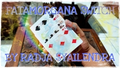 Fatamorgana Switch by Radja Syailendra