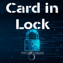 Card in Lock by Nicolas Guga