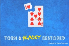 Torn & Almost Restored by Caius Ferguson