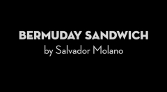Bermuday Sandwich by Salvador Molano