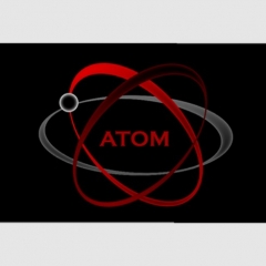 ATOM by Daniel Bryan