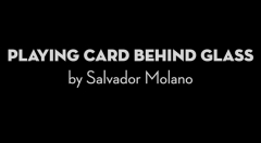 Playing Card Behind Glass by Salvador Molano