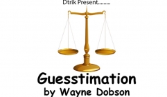 Guesstimation by Wayne Dobson