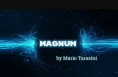 Magnum by Mario Tarasini