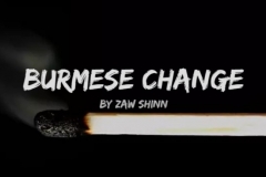 Mario Tarasini presents Burmese Change by Zaw Shinn