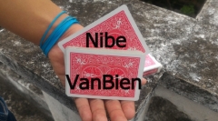 Nibe by VanBien