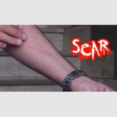 SCAR by Dan Alex