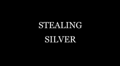 Stealing Silver by Damien Fisher