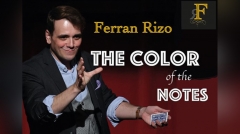 The Color of the Notes by Ferran Rizo