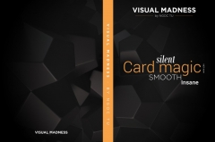 Visual Madness - Vol 2 by Creative Artists