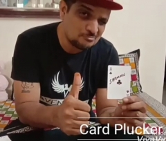 Card Plucker by Sachin.K.M