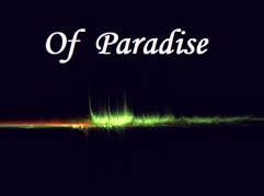 Of Paradise By Tom Phoenix