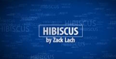 HIBISCUS Magician Zack Lach