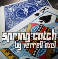 Spring-Catch by Verrell Axel
