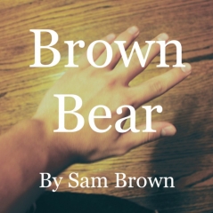 Brown Bear by Sam Brown