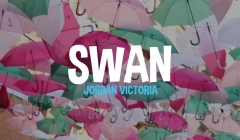 SWAN // Jordan Victoria