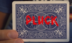 Pluck By Antonio Smith-Plata