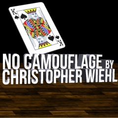 No Camouflage by Christopher Wiehl