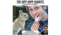 HIPP HOPP RABBIT (online instructions only) by Rocco & Shaun Jay