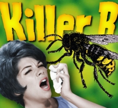 Killer B