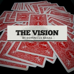 The Vision by Dominicus Bagas (Video+ZIP)