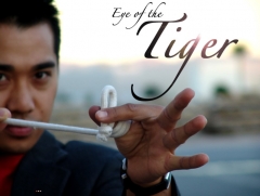 Eye of the Tiger