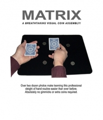 Matrix Coin Assembly - Al Schneider